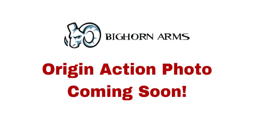 bighorn actions