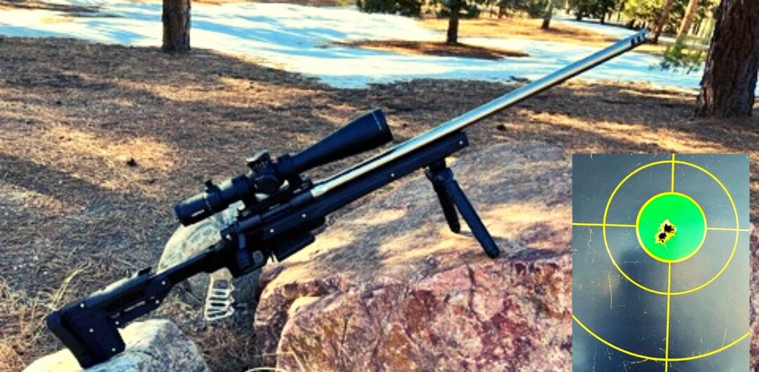 308 Winchester Remage Build